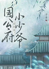 公府小少爷找回来了TXT