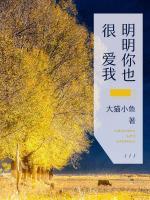 明明你也很爱我什么时候的歌